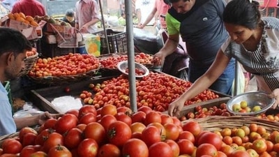 Hot weather and heavy rain have pushed up prices of most groceries, especially tomatoes, potatoes and onions, the Economic Survey noted. Hot weather and heavy rain have pushed up prices of most groceries, especially tomatoes, potatoes and onions, the Economic Survey noted.