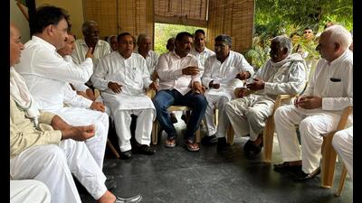 Villagers have alleged that the area chosen is in the water catchment area and will contaminate the groundwater. (HT PHOTO) Villagers have alleged that the area chosen is in the water catchment area and will contaminate the groundwater. (HT PHOTO)