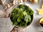 spinach_veggi spinach_veggi