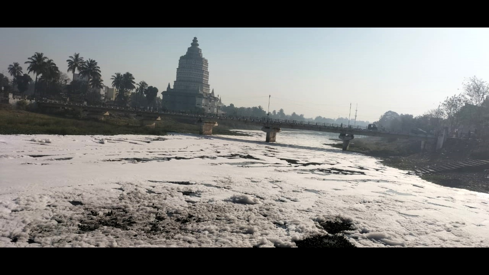 NGT takes suo motu cognisance of contamination of water sources on Palkhi route