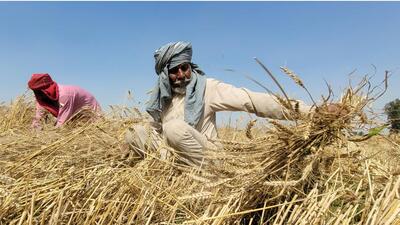 India’s 140 million farmers are increasingly battling extreme weather patterns. (HT PHOTO) India’s 140 million farmers are increasingly battling extreme weather patterns. (HT PHOTO)