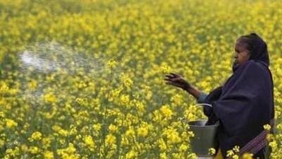 The decision was vitiated on grounds of lack of effective consultation and disregard of the principles of public trust doctrine. (Reuters file photo) The decision was vitiated on grounds of lack of effective consultation and disregard of the principles of public trust doctrine. (Reuters file photo)