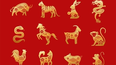 Read your weekly Chinese love horoscope based on your zodiac sign. (Freepik) Read your weekly Chinese love horoscope based on your zodiac sign. (Freepik)