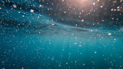 Scientists have discovered a strange phenomenon where 'dark oxygen' is being produced more than 13,000 feet below the ocean surface (Representational Image) Scientists have discovered a strange phenomenon where 'dark oxygen' is being produced more than 13,000 feet below the ocean surface (Representational Image)