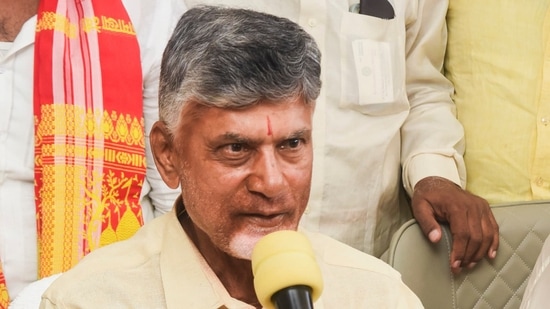 Andhra Pradesh chief minister N Chandrababu Naidu.(PTI)