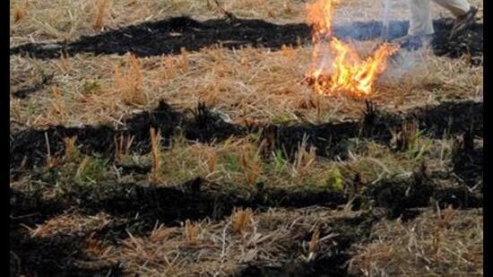 The NGT hears a matter regarding stubble burning in the state, which is often blamed for air pollution, especially in the national capital during winter.