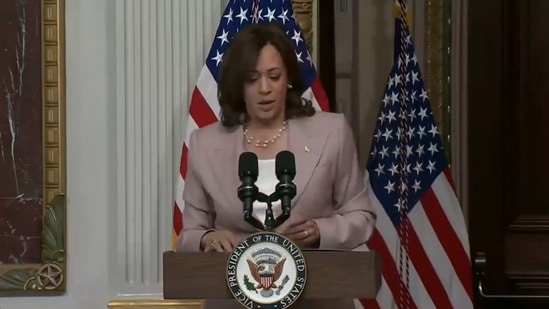 US Vice President Kamala Harris will formally accept her nomination for the presidential run soon. (Screengrab)