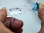 Bengaluru has seen a total of 3,304 dengue cases reported from July 1 to July 22. (Representational Image) 