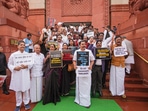 Opposition MPs led by Congress protest inside Parliament premises alleging discrimination in Union Budget 2024 (PTI Photo/Manvender Vashist Lav)(PTI) Opposition MPs led by Congress protest inside Parliament premises alleging discrimination in Union Budget 2024 (PTI Photo/Manvender Vashist Lav)(PTI)