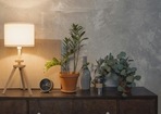Get your favourite home decor items from Amazon at this exciting deal
