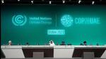 COP28 UN Climate Summit in UAE. (AP File Photo) COP28 UN Climate Summit in UAE. (AP File Photo)