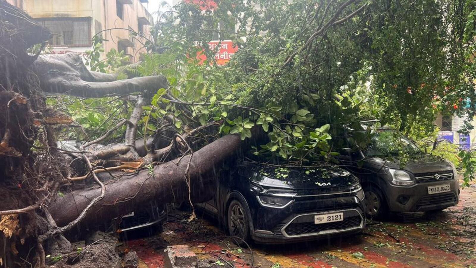 Rain, fallen trees, submerged riverbed road throw traffic out of gear in Pune