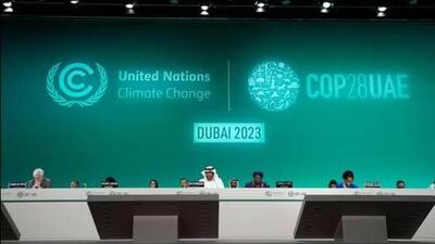 COP28 UN Climate Summit in UAE. (AP File Photo) COP28 UN Climate Summit in UAE. (AP File Photo)