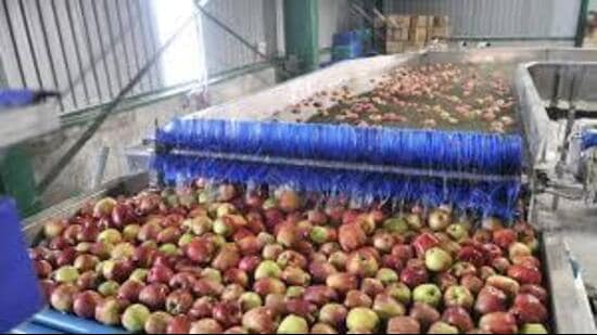 Deputy chief minister Mukesh Agnihotri on Wednesday said that the state government was committed to protecting the interests of horticulturists and farmers and added that exempting SRT for apple and potato transportation will benefit all stakeholders. (HT Photo)