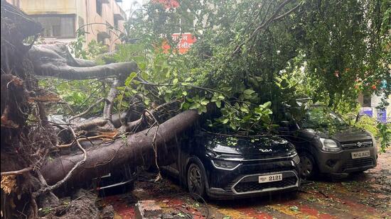 Tree fall incidents were reported from Aundh, Anant Park, Erandwane, Maharshinagar, Thakur Bakery, Navi Peth, near Mhatre Bridge, Wanowrie, Mohammadwadi Road and other areas. (HT PHOTO)