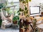 Check out seven essential tips to help you bring nature indoors and make the most of your cozy corners. Check out seven essential tips to help you bring nature indoors and make the most of your cozy corners.