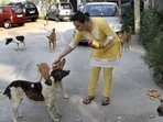 Neighbours had reportedly objected to the family taking care of stray dogs. (Representative image) Neighbours had reportedly objected to the family taking care of stray dogs. (Representative image)