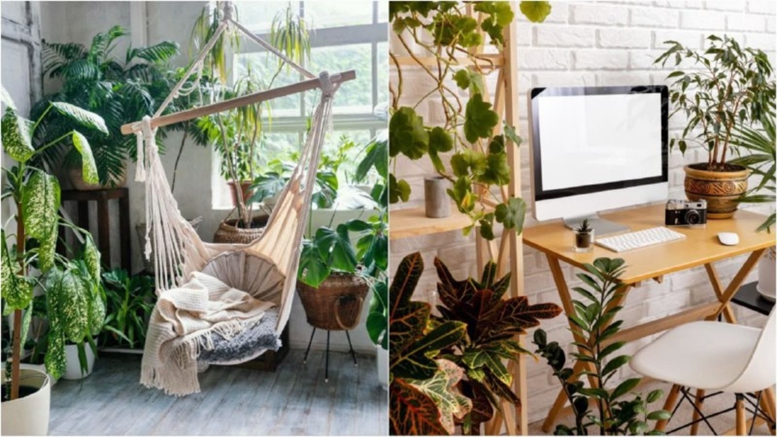 From biophilic designs to sustainable materials: 7 interior design tips for transforming small spaces into green havens