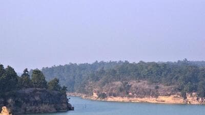 Hasdeo Arand spans over 170,000 hectares and has 23 coal blocks. (Wikimedia Commons) Hasdeo Arand spans over 170,000 hectares and has 23 coal blocks. (Wikimedia Commons)