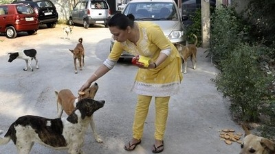 Neighbours had reportedly objected to the family taking care of stray dogs. (Representative image) (HT file)