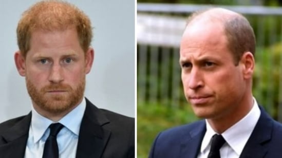 Prince Harry seemingly takes a dig at William for saying Diana had ‘paranoia’ (AP/PTI, Andy Kelvin/PA via AP)