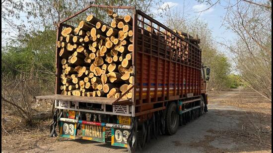 Thousands of fully-grown trees have been allegedly felled at a factory sprawling over 1200 bighas (743.8 acres) land in Greater Noida’s Surajpur in the last one month. (HT Photo)