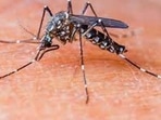 With dengue cases on rise, Karnataka minister directs officials to monitor infected persons