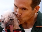 Cast member Ryan Reynolds holds Britain's ugliest dog Peggy, who plays Dogpool in "Deadpool & Wolverine", during a photocall for the movie in London, Britain, July 12, 2024. REUTERS/Hollie Adams