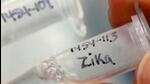 A 72-year-old woman, a resident of Prabhat Road, tested positive for Zika virus infection on Friday (REPRESENTATIVE PHOTO) A 72-year-old woman, a resident of Prabhat Road, tested positive for Zika virus infection on Friday (REPRESENTATIVE PHOTO)