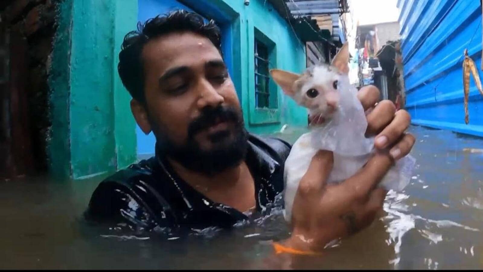 Over 30 animals saved during torrential rain in Pune