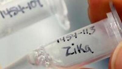 A 72-year-old woman, a resident of Prabhat Road, tested positive for Zika virus infection on Friday (REPRESENTATIVE PHOTO)