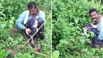 A man in MP was attacked by a 15-foot python.