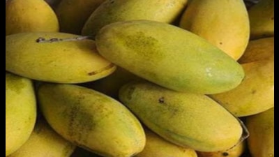 The beverage is made from mango pulp, which will enable entrepreneurs to prepare it throughout the year. (Pic for representation)