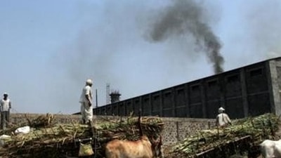 File photo of Malegaon sugar co-operative in Baramati in Maharashtra. (Satish Bate/HT photo) File photo of Malegaon sugar co-operative in Baramati in Maharashtra. (Satish Bate/HT photo)