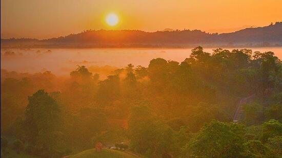 Each moidam contains the remains of Ahom royalty and other prominent figures. (UNESCO)