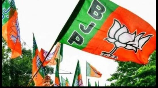 The BJP’s tally came down to 33 seats in UP in 2024 from 62 in 2019. (Pic for representation) The BJP’s tally came down to 33 seats in UP in 2024 from 62 in 2019. (Pic for representation)