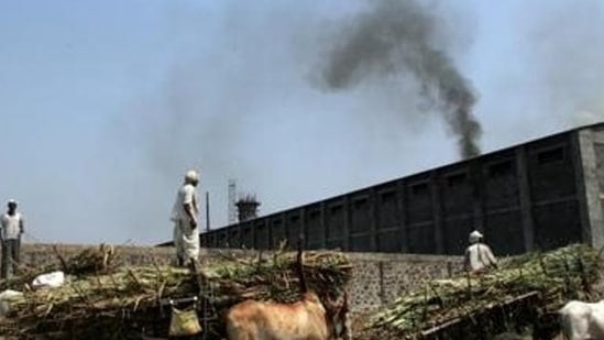 File photo of Malegaon sugar co-operative in Baramati in Maharashtra. (Satish Bate/HT photo)