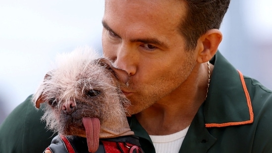 All about Dogpool: ‘Britain’s Ugliest Dog’ to Deadpool & Wolverine cast member