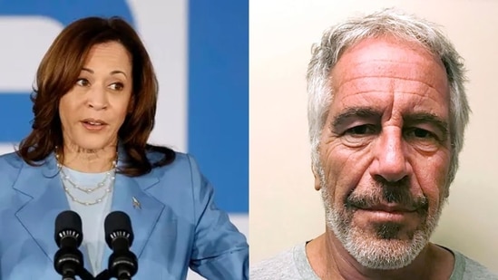 Fact Check: Is the Kamala Harris photo embracing Jeffrey Epstein on beach real?