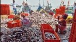 According to the fisheries department, the proposed market will shift the paradigm of fish business in the state (Satish Bate/HT PHOTO) According to the fisheries department, the proposed market will shift the paradigm of fish business in the state (Satish Bate/HT PHOTO)