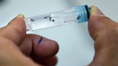 (Representational Image) According to the company, the clinical studies showed the vaccine to be safe and well tolerated (AFP) (Representational Image) According to the company, the clinical studies showed the vaccine to be safe and well tolerated (AFP)