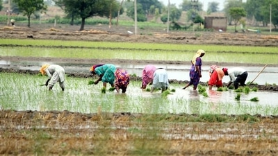 Agriculture (HT file) Agriculture (HT file)
