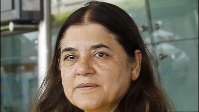 Maneka Gandhi (HT File) Maneka Gandhi (HT File)