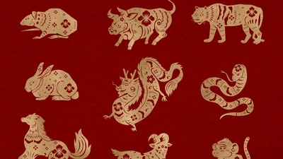 Read your weekly Chinese horoscope from July 29-August 4, 2024 based on your zodiac sign. (Freepik) Read your weekly Chinese horoscope from July 29-August 4, 2024 based on your zodiac sign. (Freepik)