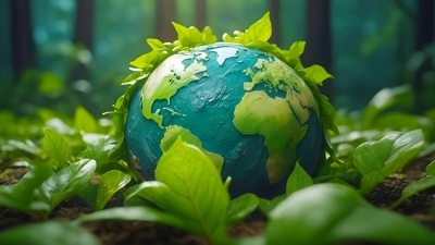 Every year on July 28th, people around the world come together to observe World Nature Conservation Day. (Pixabay) Every year on July 28th, people around the world come together to observe World Nature Conservation Day. (Pixabay)