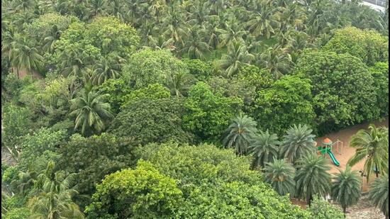 There already is, the residents pointed out, a forested space at Amarsons Garden; this would be an extension of it. There already is, the residents pointed out, a forested space at Amarsons Garden; this would be an extension of it.