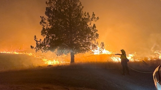 A firefighter works to extinguish the Lone Rock fire burning in Spray, Oregon, U.S. July 21, 2024 in this screengrab obtained from a video. Oregon State Fire Marshal/Handout via REUTERS/File Photo(via REUTERS)