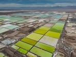 Pools of brine turn into lithium at the SQM mine in the San Pedro de Atacama desert of northern Chile (Representational photo) (Rodrigo Abd/AP) Pools of brine turn into lithium at the SQM mine in the San Pedro de Atacama desert of northern Chile (Representational photo) (Rodrigo Abd/AP)