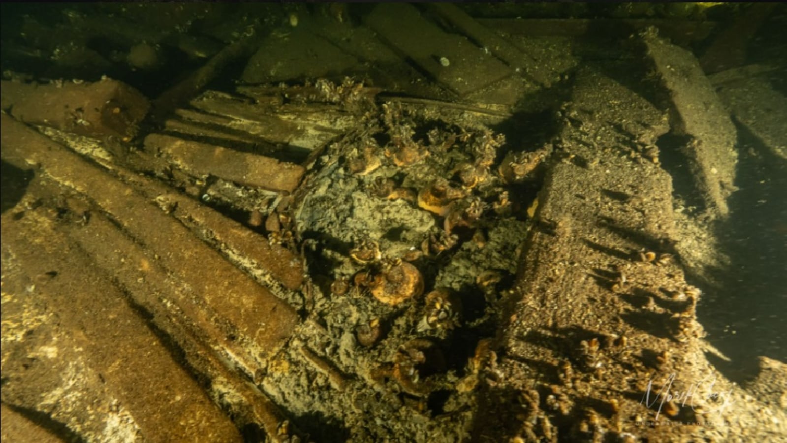 100 bottles of 19th century champagne and luxury goods discovered in Baltic wreck