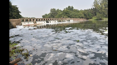 Gharre informed various orders passed by this tribunal considering the river pollution have been disregarded by the regulatory authorities. (REPRESENTATIVE PIC) Gharre informed various orders passed by this tribunal considering the river pollution have been disregarded by the regulatory authorities. (REPRESENTATIVE PIC)